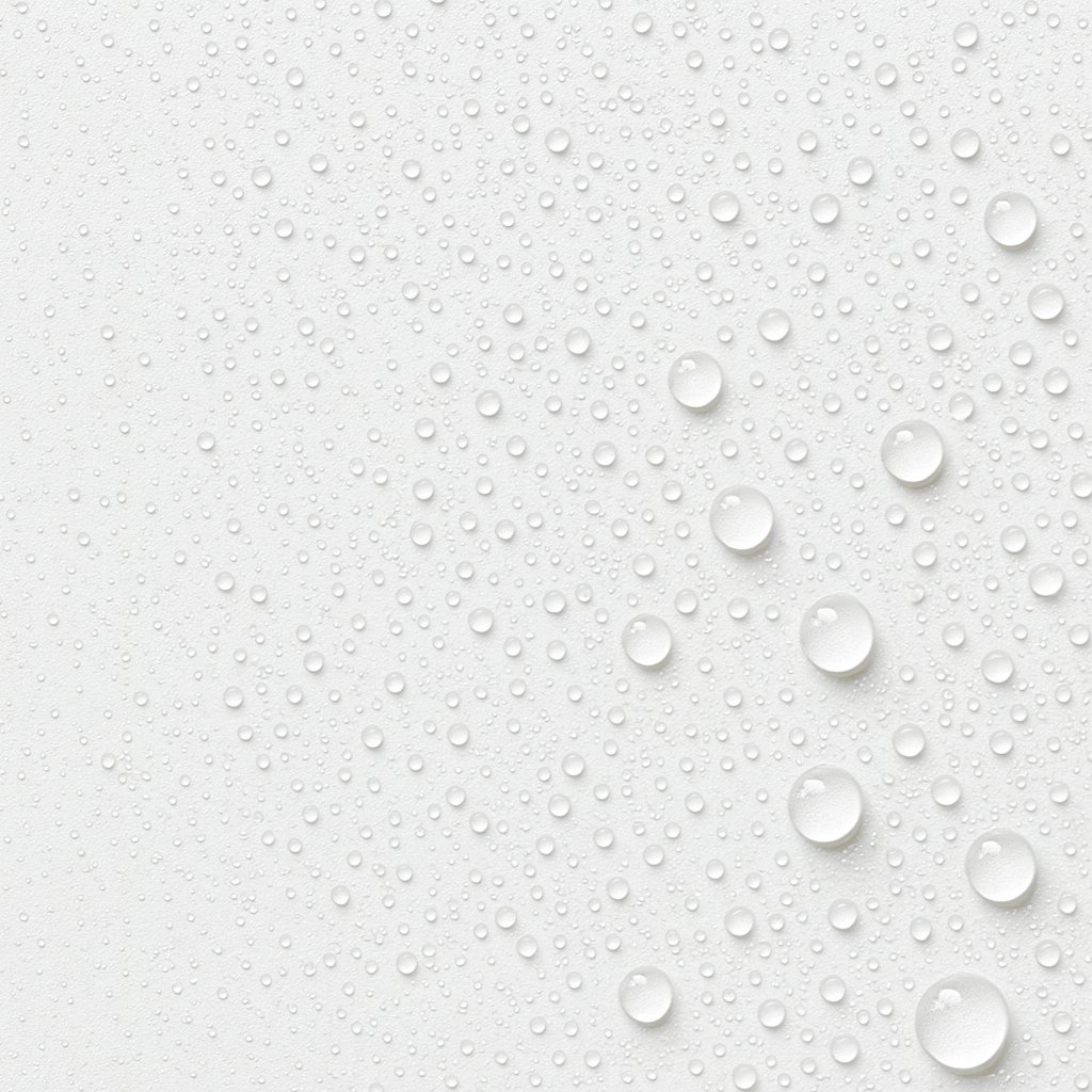 Water and Stain Protector