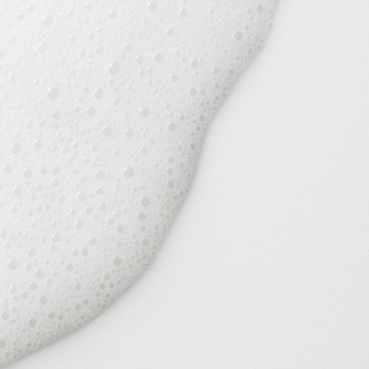 Leather Anti-mould Cleanser